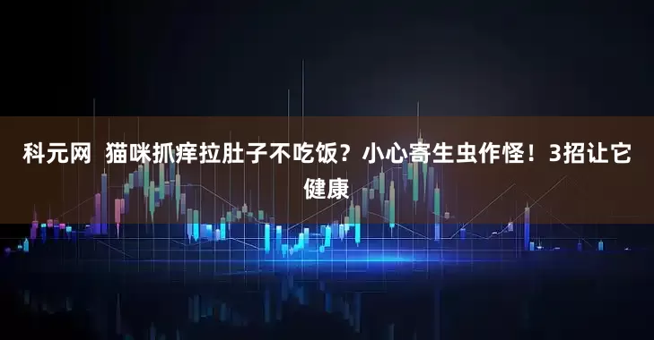 科元网  猫咪抓痒拉肚子不吃饭？小心寄生虫作怪！3招让它健康