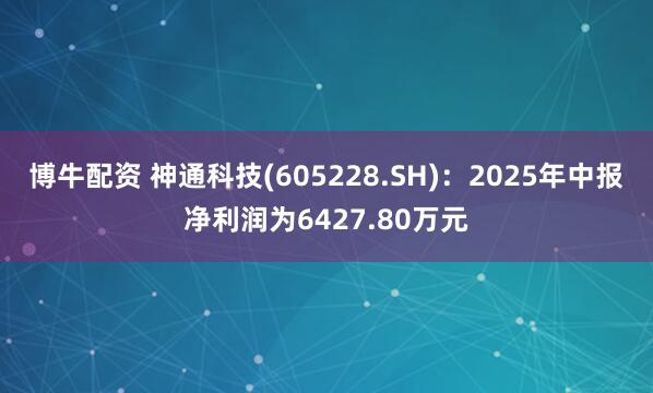 博牛配资 神通科技(605228.SH)：2025年中报净利润为6427.80万元