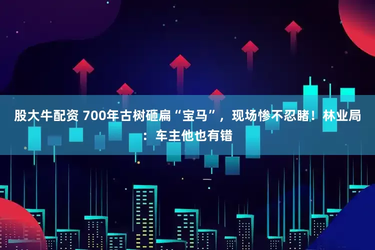 股大牛配资 700年古树砸扁“宝马”，现场惨不忍睹！林业局：车主他也有错